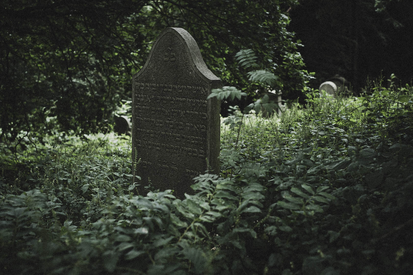 Obernkirchen, Jüdischer Friedhof